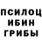 Псилоцибиновые грибы мицелий pheeret