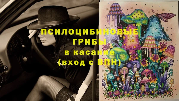MESCALINE Новокубанск