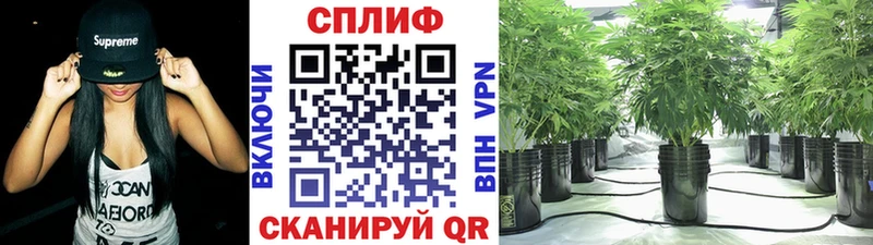 МАРИХУАНА Amnesia Ужур
